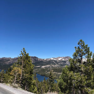 Meet your Posher, Arnold